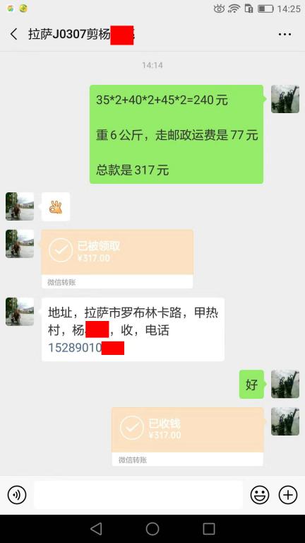 3月19日拉薩客戶轉賬317元至微信賬戶